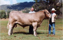 Corey in Australia with Murray Sutherland and Dr. Rick Tindale