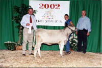 Corey progeny at the Ohio State Fair